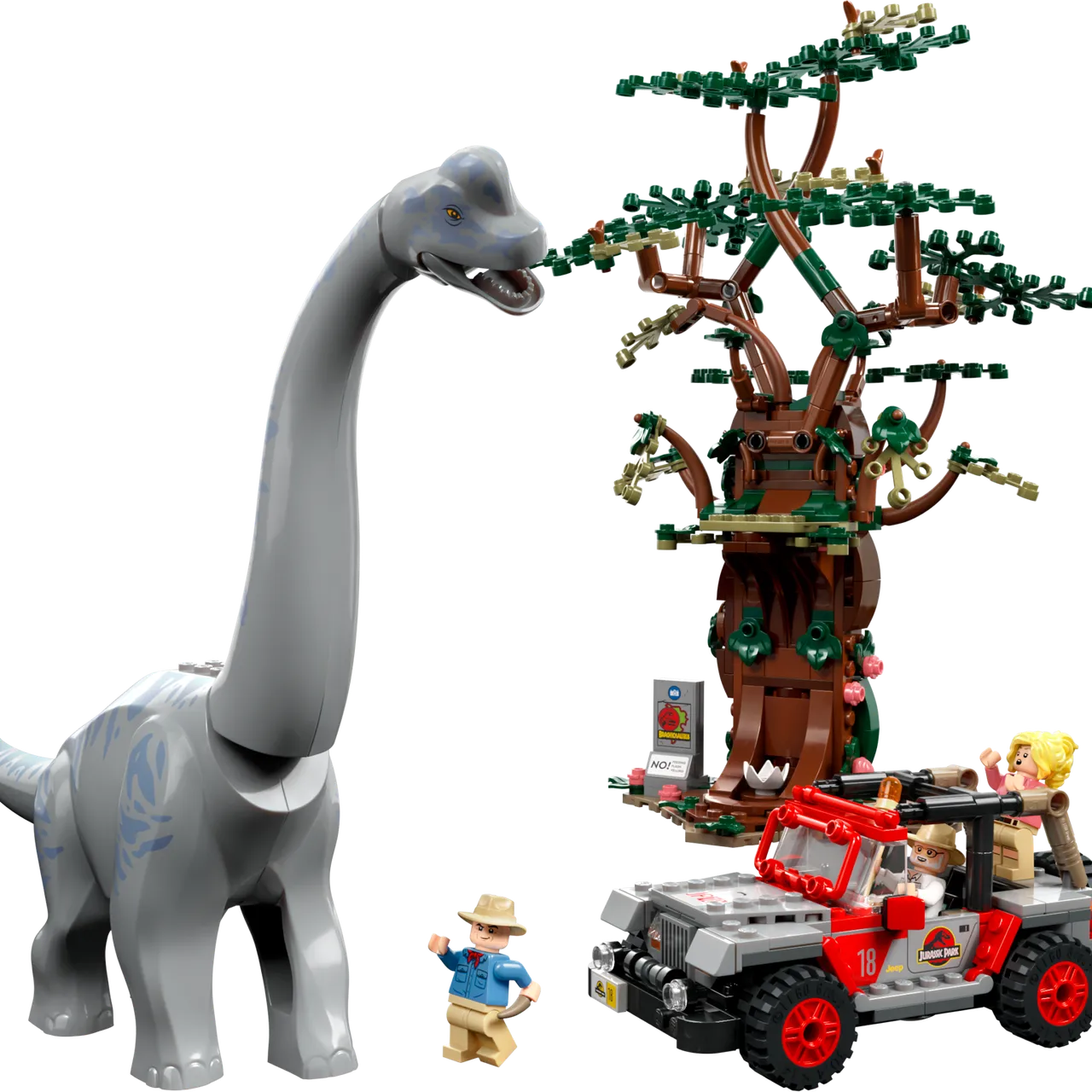 Brachiosaurus Discovery