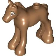 Animal, Horse / Foal, with Brown Eyes, White Pupils and Black Eyelashes Print