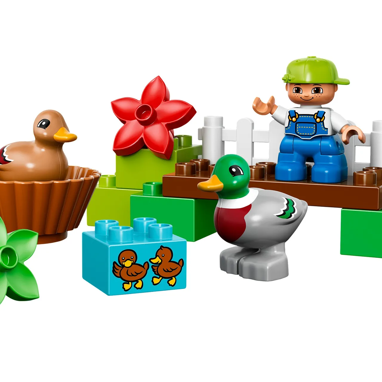 Forest: Ducks