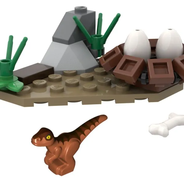 Baby Raptor and Nest