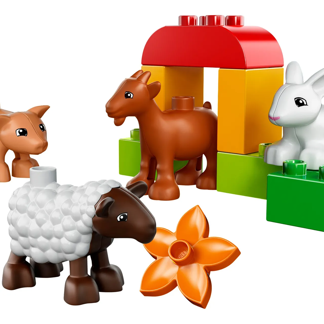 Farm Animals