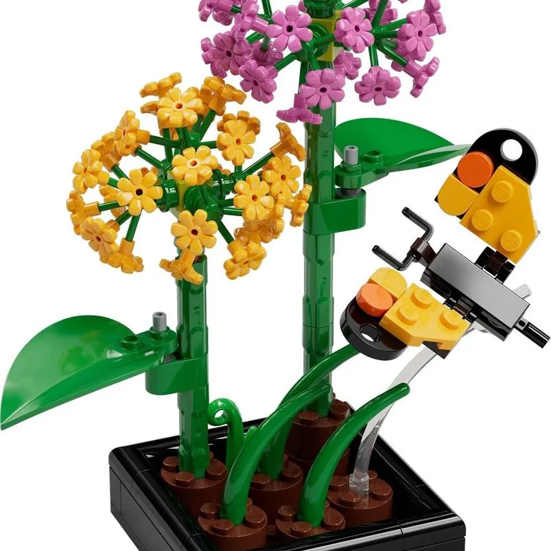 Butterfly Garden
