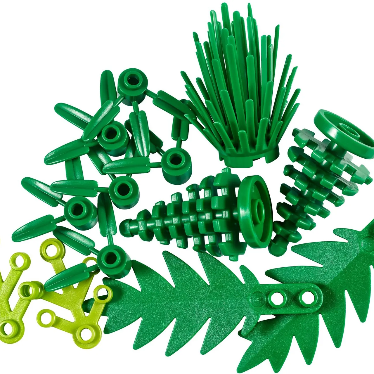 Plants from Plants