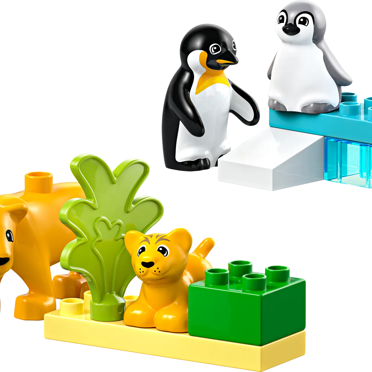 Wild Animal Families: Penguins & Lions