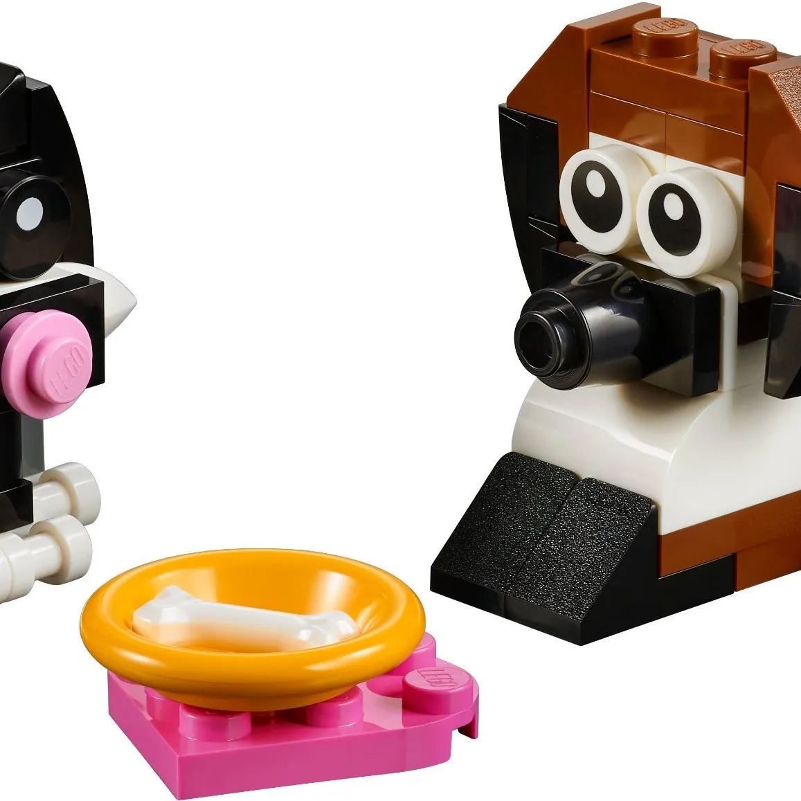 Dog and Cat Friendship Day