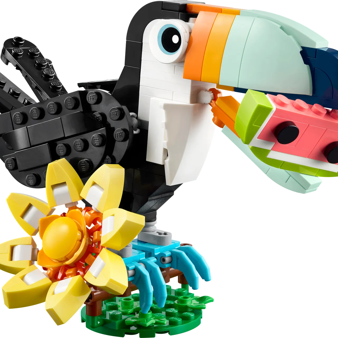 Wild Animals: Tropical Toucan