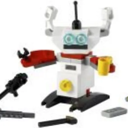 Robot
