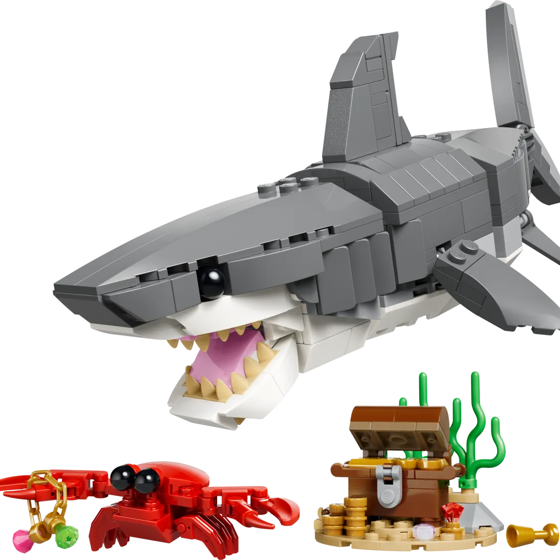 Fierce Shark with a Treasure Chest