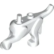 Animal Body Part, Dog Body