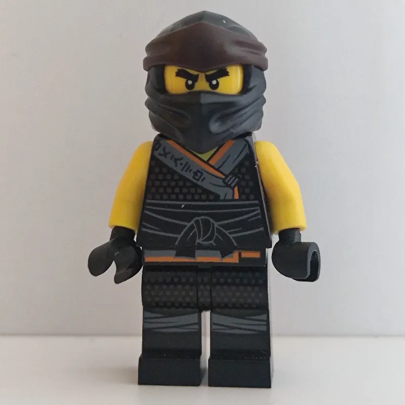 Cole in Sons of Garmadon Robe (Legacy)