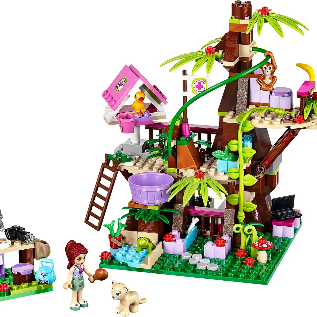 Jungle Tree Sanctuary