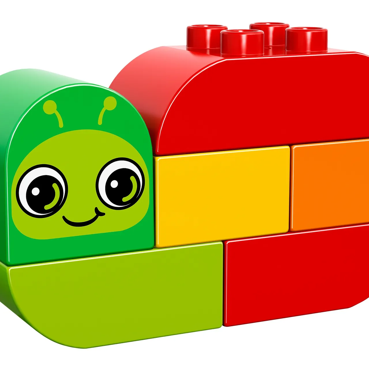 Snail