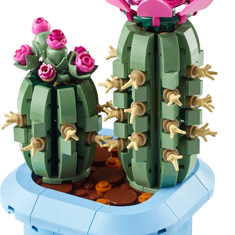 Flowering Cactus