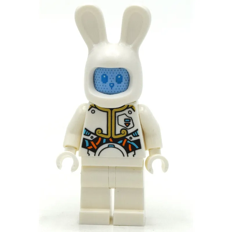 Lunar Rabbit Robot