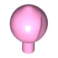 Plant, Peach