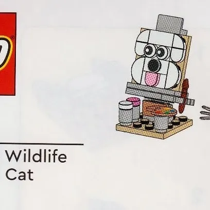 Creative Wildlife Dog and Cat