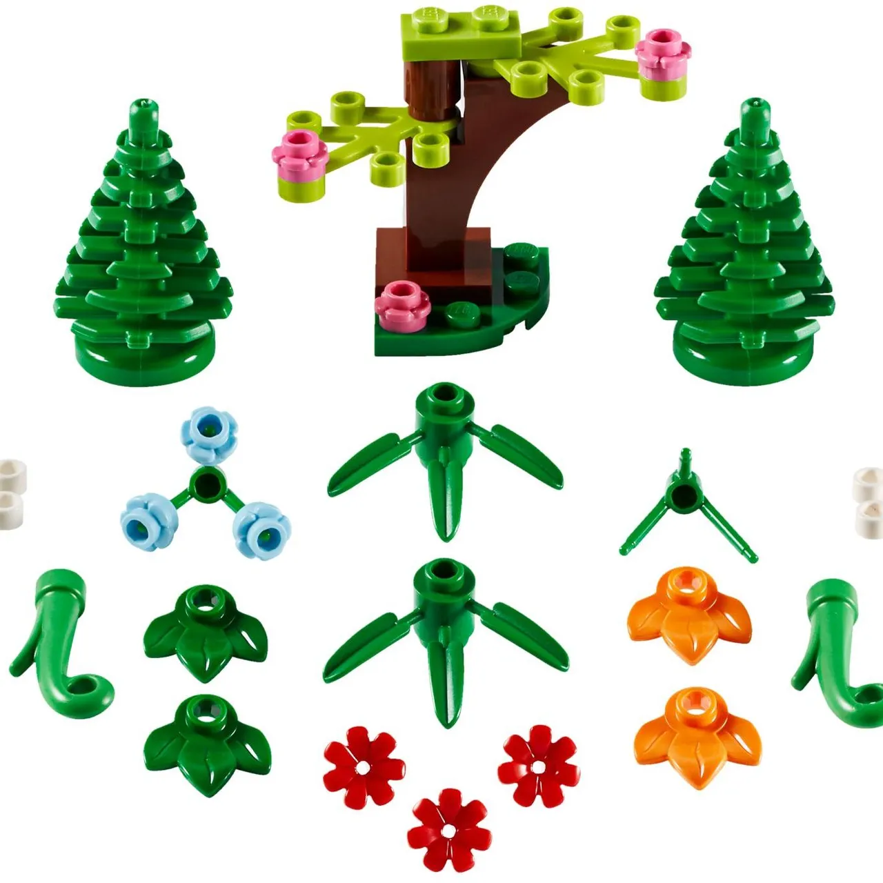 Botanical Accessories