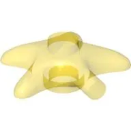 Animal, Starfish