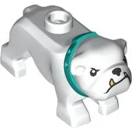 Animal, Dog, Bulldog with Tan Fangs, Dark Turquoise Collar