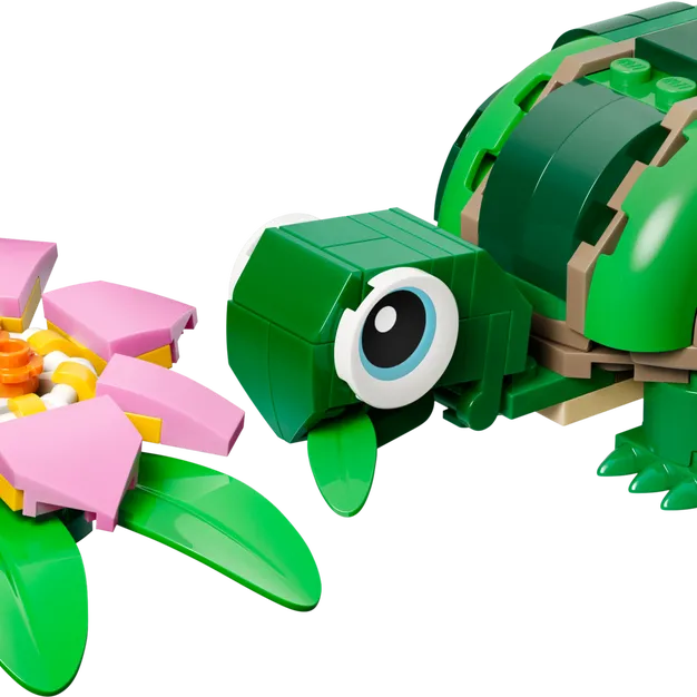 Turtle with a Water Lily Flower