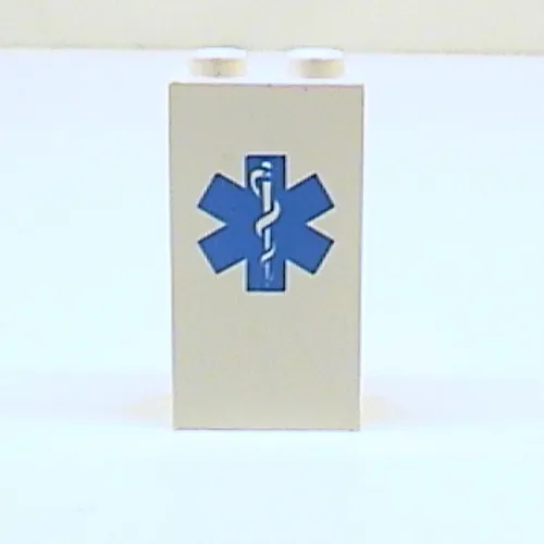 Panel 1 x 2 x 3 with Star of Life Print