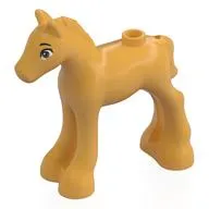 Animal, Horse / Foal with Brown Eyes Print