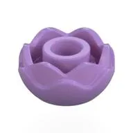 Plant, Flower, Peony Rose with 2 Layers