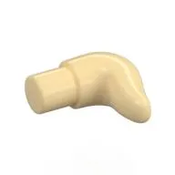 Animal Body Part, Horn (Cattle)