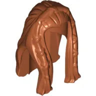 Hair Long with Braided Front