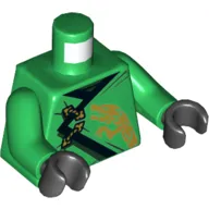 Torso Robe, Black Trim, Gold Dragon Print, Green Arms, Black Hands