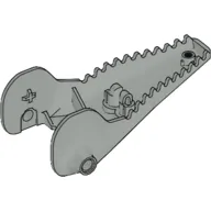 Animal Body Part, Dinosaur, Head Toothed, Jaw Bottom