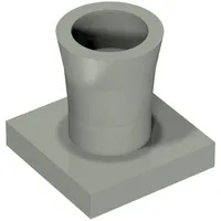 Plant, Palm Tree Base