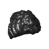 Hair Updo with Tight Curls and Elaborate Braids