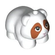 Animal, Guinea Pig with Dark Orange Face, Bright Pink Nose print