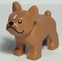 Animal, Dog, French Bulldog, Grumpy Face with Black Nose and Mouth, White Spot on Forehead Print