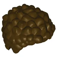 Hair Coiled and Short