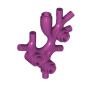 Animal / Plant, Coral / Sea Weed