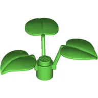 Plant, 1 x 1 x 2/3 - 3 Large Leaves