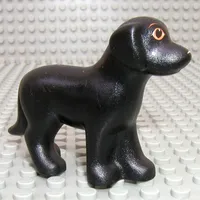 Animal, Dog, Standing with Eyes and White Nose Print