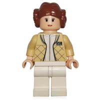 Princess Leia, Hoth Outfit, Tan Jacket, Reddish Brown Hair