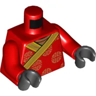 Torso Robe, Gold Decorations and Trim Print, Red Arms, Black Hands