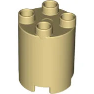 Duplo Brick Round 2 x 2 x 2