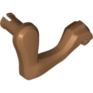 Animal Body Part, Dinosaur, Raptor / Dilophosaurus Arm / Leg, Right, Black Claws Print