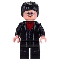 Harry Potter, Long Robes, Dark Red Shirt