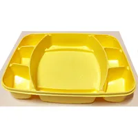 Sorting Tray, DOTS, 9 Compartment