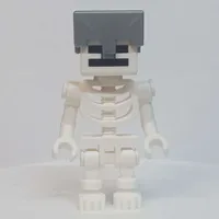 Skeleton, Square Skull, Silver Helmet (78132 Torso)
