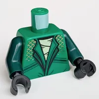 Torso, Ninja Robe, White Shirt, Gold Decorations, Snake On Back print, Dark Green Arms, Black Hands