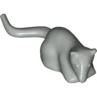 Animal, Rodent, Rat / Mouse [Plain]