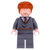 Ron Weasley, Gryffindor Sweater