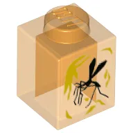 Trans-Orange